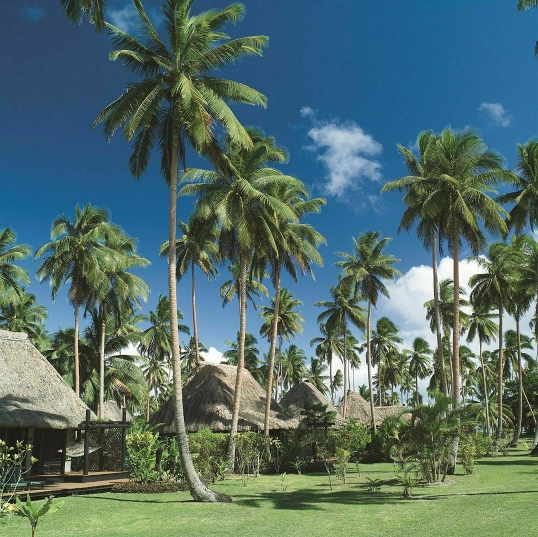 Jean-Michel Cousteau Resort Fiji Savusavu Buitenkant foto