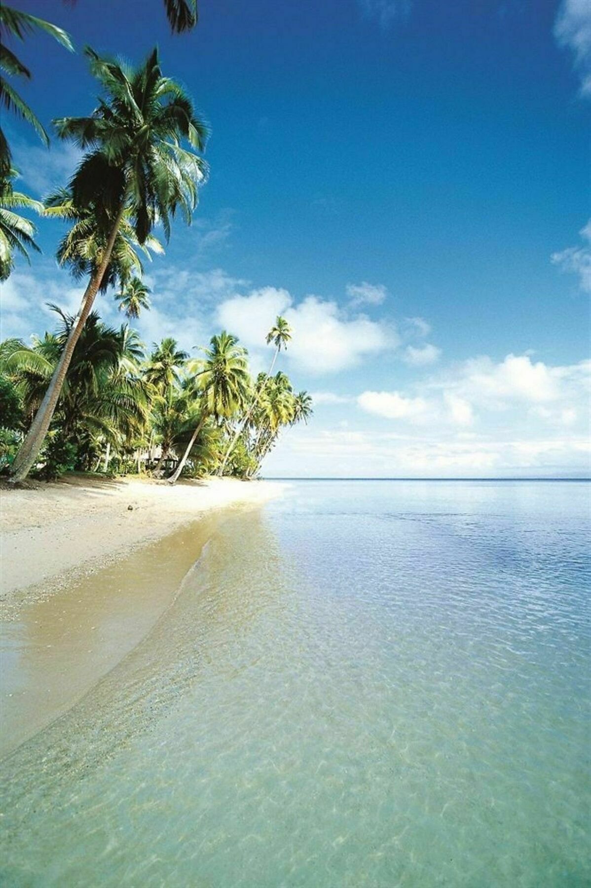 Jean-Michel Cousteau Resort Fiji Savusavu Buitenkant foto
